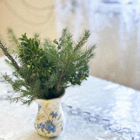 Софія Yasinya Extérieur photo